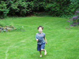 Click to see P6090034.JPG