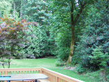Click to see P7140006.JPG