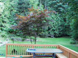 Click to see P7140007.JPG